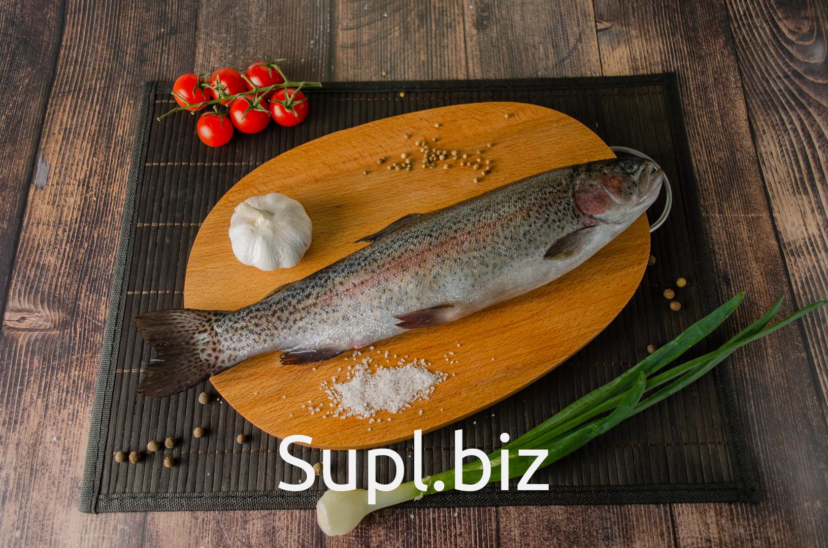 Форель Живая Купить В Екатеринбурге