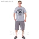 Комплект мужской (футболка, шорты), размер 46, цвет серый (арт. 886/1)