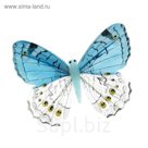 Магнит бабочка "Южный ветерок", МИКС