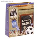 Пакет ламинат вертикальный «Дорогому сыну», MS 18 х 23 х 8 см