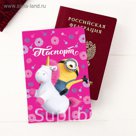Обложка для паспорта, Гадкий Я