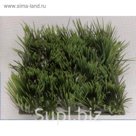 Растение пластиковое Коврик 12,5х25см, зеленое (83001_12.5)