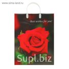 Пакет "Волшебный танец", мягкий пластик, 42 х 32 см, 140 мкм