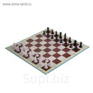 Игра настольная 3 в 1: нарды, шахматы и шашки, составное поле 28 × 28 см