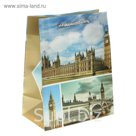 Пакет пластиковый, 3D рисунок "Лондон"
