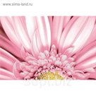 Вставка керамическая Aster AE2N451DT, многоцветная, 300х450 мм