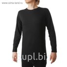 Мужская футболка с длинным рукавом Silver Pinquin 062DB, размер L