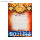 Грамота спортивная "Борьба"