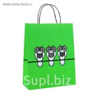 Пакет крафт "Совы" зеленый, 25 х 10 х 32 см