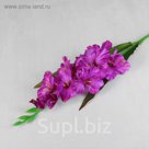 Цветы искусственные "Гладиолус Графиня" 10*90 см, фиолетовый