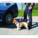 Автомобильный ремень безопасности Trixie для собак, 20-50 см