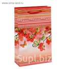 Пакет подарочный "Благоухание" 26,5 х 16,5 х 7 см