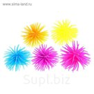 Ёжка резиновый "Морской ёжик", напальчник, цвета МИКС