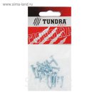 Винт DIN84 TUNDRA krep, с цилиндрической головкой, М4х16 мм, оцинкованный, 18 шт.