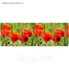 Фартук ХДФ Маки 695х2070х3 мм