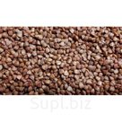 Крупа гречневая (ядрица) (пропаренная) 1 сорт ГОСТ Р 55290-2012