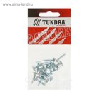 Саморезы с прессшайбой TUNDRA krep, 4.2х19 мм, острый, 18 шт.