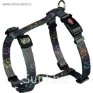 Шлейка-Н Trixie Jimmy, S–M: 40–65 см/20 мм, коричневый