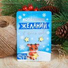 Набор "Исполнения желаний", значок, серёжки