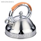 Чайник металлический 2,7л De Luxe