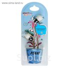 Наушники проводные SmartBuy PLANT, черные