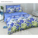 Постельное бельё евро "Василиса", 215х200см, 200х220см, 70х70см - 2 шт