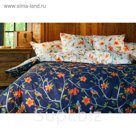 КПБ евро "Райские птицы", 240х260 см, 200х220 см, 70х70 см-2 шт., ранфорс 118 г/м2