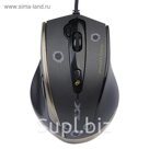 Мышь A4 V-Track F3, черный/золотистый, оптическая, USB2.0