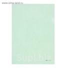 Папка-уголок А4 Erich Krause Clear Standard L-File New, зеленая, EK 42919