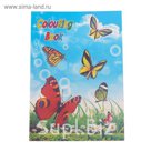 Раскраска формат А4 10 листов с наклейками Бабочки