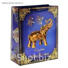 Пакет ламинат вертикальный с тиснением «Силы и мудрости», 26 х 32 см