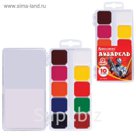 Акварель медовая 10 цветов, пластиковая коробка, без кисти