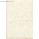 Обои виниловые на бумаге 209-21 HomeColor, 0,53х15 м
