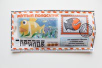 Желтый полосатик сушеный