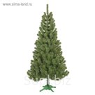 Сосна "Милена" 150 см, d нижнего яруса 80 см, 249 веток