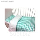КПБ Ziggy Green, 100х160 см, 110х140 см, 40х60 см, бязь