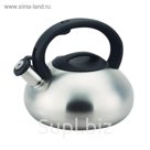 Чайник 2,9 л De Luxe, нержавеющая сталь