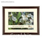 Фоторамка 30х40 см Dark