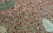 Декоративные панели из природных материалов с запахом Organoid SPECIAL: LAUREL LEAVES