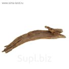 Корень мангрового дерева, натуральный (водная часть) 40-60 см mangr-l