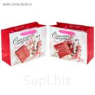 Пакет ламинат с открыткой и блёстками «Стильная штучка», MS 18 х 23 х 8 см