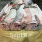 Горбуша потрошенная с головой и не потрошенная с головой