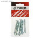 Винт с полукруглой головкой DIN7985 TUNDRA krep, оцинкованный, M8х50 мм, в пакете 6 шт.