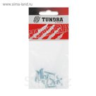 Винт DIN965 TUNDRA krep, с потайной головкой, М4х20 мм, оцинкованный, 14 шт.
