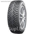 Зимняя нешипованная шина Nokian Hakkapeliitta R2 195/55 R15 89R