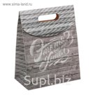 Пакет подарочный «Это то, что ты хотел», 18 × 23 × 10 см