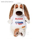 Мягкая игрушка "Бартоломей" в футболке с принтом Россия, 27 см