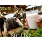 Производитель продает в МО молоко ультрпак, пармалат, под заказ. Самовывоз. 
Формируем портфель заказов на 2-е полугодие 2018 г..