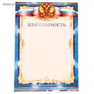 Благодарность "Российская символика"