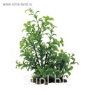 Искусственное растение ArtUniq Ludwigia green 38 - Людвигия зеленая, 38 см